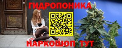 гашик Заволжье