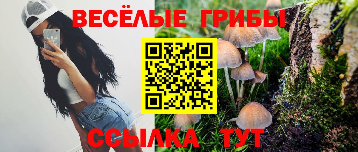 Псилоцибиновые грибы Magic Shrooms Краснотурьинск